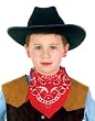 Jr. Cowboy Hat - Child Std.