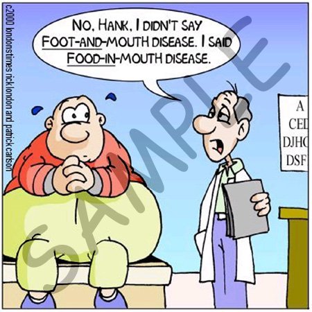 Londons Times Health and Vanity Trends Cartoons - Food In Mouth Disease For Dieters - Light Switch Covers - 2 plug outlet cover
