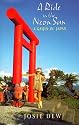 A Ride in the Neon Sun: A Gaijin in Japan