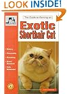 The Guide to Owning an Exotic Shorthair Cat