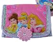 Disney Princess Wallet - Trifold wallet Glitters and flower