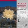 J.S. Bach: Brandenburgische Konzerte