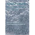 Schizophrenie - ein Denkausbruch mit Folgen