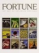 Fortune: The Art of Covering Business