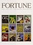 Fortune: The Art of Covering Business