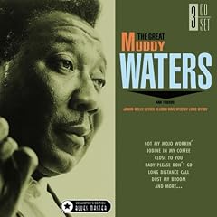 Muddy Waters
