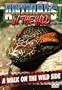 Animals in the Wild: A Walk on the Wild Side