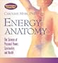 Energy Anatomy