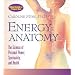 Energy Anatomy