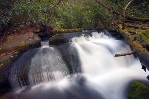 Twenty Mile Cascades, Great Smoky Mountians National Park Vivid 16x20 Photographic Print by Brendan Reals 512MPrnY9DL Twenty Mile Cascades, Great Smoky Mountians National Park Vivid 16x20 Photographic Print by Brendan Reals
