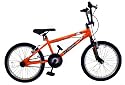 Raleigh Shock 20" BMX Bike - In Shocking Orange