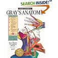 Start Exploring Gray's Anatomy: A Fact-Filled Coloring Book (Start Exploring)