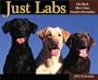 Just Labs