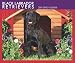 Labrador Retrievers, Black 2008 Boxed Calendar