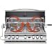 Cal Flame 40 Inch 5 Burner Convection Natural Gas Grill Built In