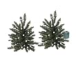 Set of 2 Battery Operated Lighted LED 16" Walkway Trees - Clear Lights