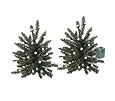 Set of 2 Battery Operated Lighted LED 16" Walkway Trees - Clear Lights
