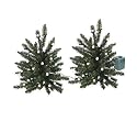 Set of 2 Battery Operated Lighted LED 16" Walkway Trees - Clear Lights