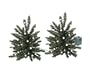 Set of 2 Battery Operated Lighted LED 16" Walkway Trees - Clear Lights