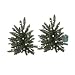 Set of 2 Battery Operated Lighted LED 16" Walkway Trees - Clear Lights