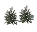 Set of 2 Battery Operated Lighted LED 16" Walkway Trees - Clear Lights