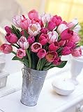 Pretty in Pink Mix Tulip 18 Bulbs - Pink & White