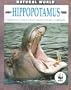 Natural World Hippopotamus