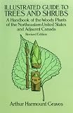 Illustrated Guide to Trees and Shrubs: A Handbook of the Woody Plants of the Northeastern United States and Adjacent Canada/Revised Edition