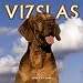 Book Vizslas 2004 Calendar