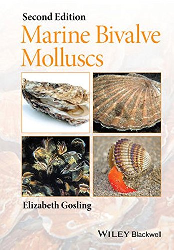 Marine Bivalve Molluscs, by Elizabeth Gosling