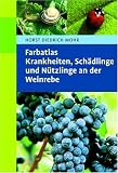 Farbatlas Krankheiten, Schädlinge und Nützlinge an der Weinrebe