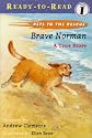 Brave Norman : A True Story