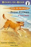 Brave Norman : A True Story