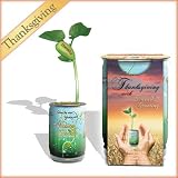 Nature's Greeting in a Can (Happy Holidays)- The Magic Plant
