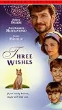 Three Wishes (Spanish) [VHS]