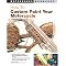 Custom Paint:how to....
