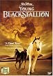 The Young Black Stallion [DVD]