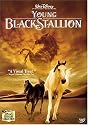 The Young Black Stallion [DVD] [2003]