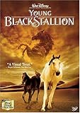 The Young Black Stallion packshot