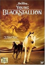 The Young Black Stallion [DVD] [2003]