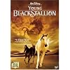 The Young Black Stallion [DVD]