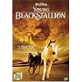 The Young Black Stallion [DVD]