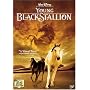The Young Black Stallion [DVD] [2003]