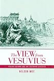 The View from Vesuvius: Italian Culture and the Southern Question (Studies on the History of Society and Culture)