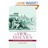 The View from Vesuvius: Italian Culture and the Southern Question (Studies on the History of Society and Culture)