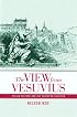 The View from Vesuvius: Italian Culture and the Southern Question (Studies on the History of Society and Culture)