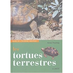 Les tortues terrestres