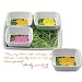 Andy Warhol - 1960's Flower Square Nesting Bowls Set