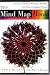 The Mind Map Book: How to Use Radiant Thinking to Maximize Your Brain's Untapped Potential by Tony Buzan