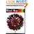 The Mind Map Book: How to Use Radiant Thinking to Maximize Your Brain's Untapped Potential